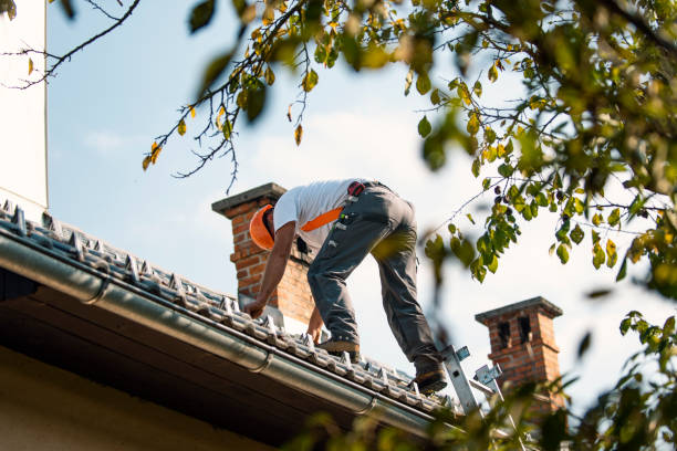 Best Storm Damage Roof Repair  in Kirksville, MO